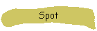 Spot