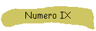 Numero IX