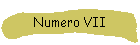 Numero VII