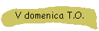 V domenica T.O.