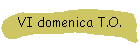 VI domenica T.O.