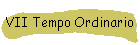 VII Tempo Ordinario
