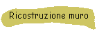 Ricostruzione muro