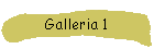 Galleria 1